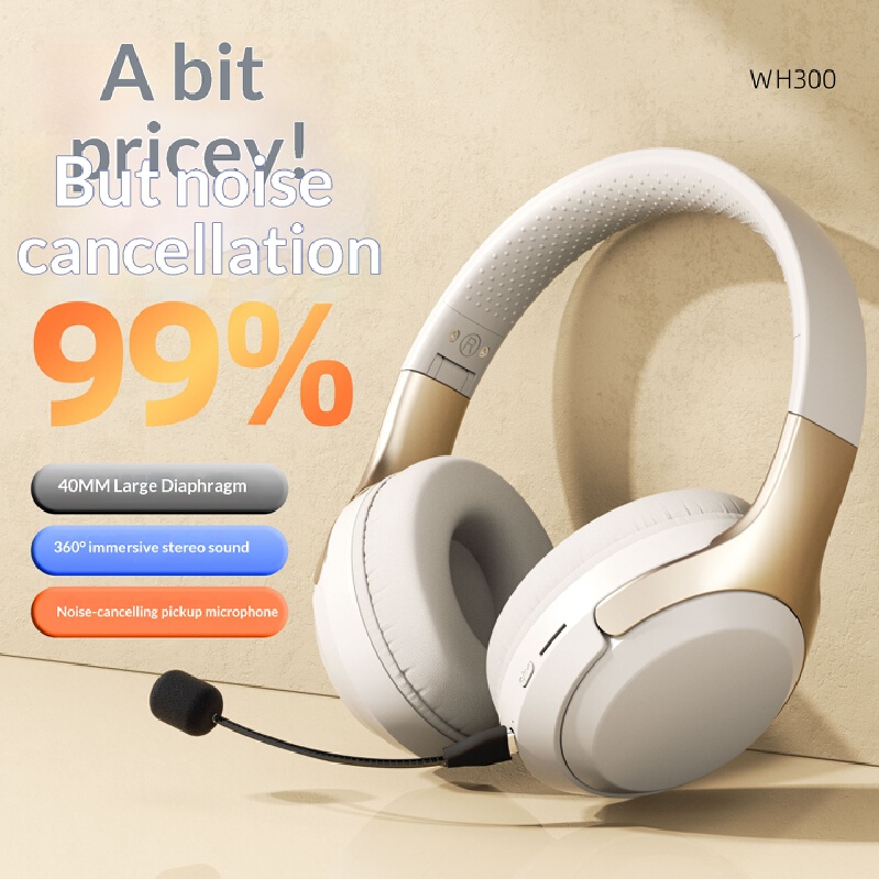 Over Ear Wireless Bluetooth He - огляд і ціна Travel Accessories Officeworks