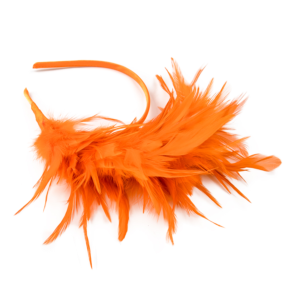 Dance performance feather head - огляд і ціна Travel Accessories Bunnings