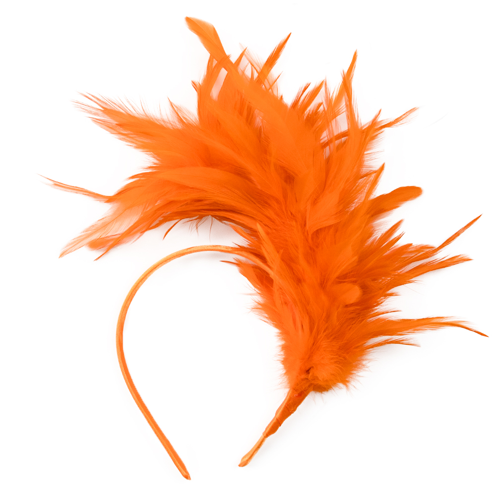 Dance performance feather head - огляд і ціна Travel Accessories Bunnings